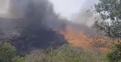 Terbakar Hebat, TPA Putri Cempo Solo Lepas Asap Gelap Ternyata Ini Penyebabnya.