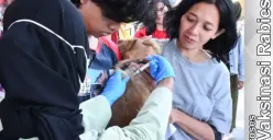 Cegah Rabies dan Over Populasi, Pemkot Semarang Gelar Vaksinasi dan Sterilisasi Kucing dan Anjing di World Rabies Day