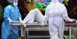 Langkah Pencegahan Tertular Virus Nipah: Panduan dari Kementerian Kesehatan