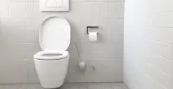 Bahaya Main HP sambil BAB di Toilet, Ternyata Berpotensi Sebabkan Penyakit Ini