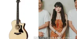 Spesifikasi Gitar Taylor 314 Berharga Rp34 Juta, Milik Soegi Bornean yang Retak di Bagasi Batik Air