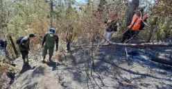 Gunung Merbabu Terbakar 2 Hektare Hangus Hadalam Dalam Waktu 1 Hari