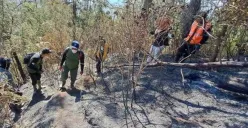 Kebakaran Gunung Merbabu (Sumber : antara)