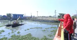 Mbak Ita Minta Sedimentasi dan Eceng Gondok di Sungai-Sungai Kota Semarang Dibersihkan Sebelum Musim Hujan Tiba