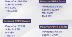 Apa Itu Submit, MS dan TMS di Pengumuman Jumlah Pelamar CPNS PPPK 2023?
