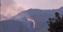 Lereng Gunung Ungaran Kebakaran, Titik Lokasi Ada di Sekitar Bandungan
