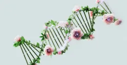 Mengetahui tingkat genetik mempengaruhi kepribadian seseorang. (Sumber : Pexels/Google DeepMind)