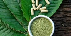 RI Punya Jenis Narkotika dan bukan barang ilegal bernama kratom (Sumber : sumsel.bnn.go.id)
