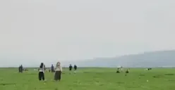 Rawa Pening Jawa Tengah (Sumber : antara)