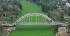 Aliran sungai Bengawan Solo di Bojonegoro dipenuhi enceng gondok. (Sumber : Instagram @huseinmusthafa)