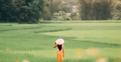 Tipe Kepribadian ISFP dan Karakteristiknya, Si Petualang yang Santai Namun Pekerja Keras