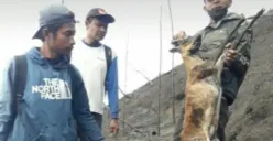 Imbas Kebakaran Merbabu: Kijang dan Monyet Mati Terpanggang, Pipa Saluran Air Rusak