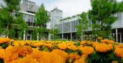 Wisata Sejarah Rumah Astiri di Jawa Tengah, Pabrik Minyak Wangi Pertama di Indonesia