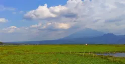 Sempat viral di media sosial sabana Rawa Pening yang menjadi destinasi baru warga Semarang, namun yang mulanya kering kini sudah berair menjadi rawa lagi. (Sumber : Google ARSY Chanel)