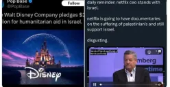 Netflix dan Disney Disebut Pro Israel, Pengguna Mulai Beralih ke Situs Ilegal Lagi? (Sumber : x.com/@kdrama_menfess)