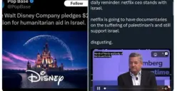 Netflix dan Disney Disebut Pro Israel, Pengguna Mulai Beralih ke Situs Ilegal Ini