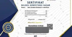 Apakah peserta ujian wajib download sertifikat hasil tes SKD CPNS dan Seleksi Kompetensi PPPK 2023. (Sumber : sertificat.bkn.go.id)