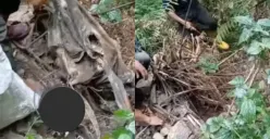 penampakan penemuan tulang manusia di lereng Gunung Ungaran (Sumber : instagram @infogunungpati)