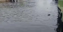 kondisi banjir di Kaligawe (Sumber : instagram @infokejadian_genuk)