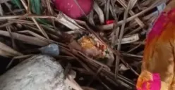 Nasi dan Lauk Masih Utuh Dibuang, Aksi Pengungsi Rohingnya Bikin Publik Muak: Ngotorin Pantai!