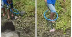 Kondisi Bayi Ditemukan Terapung di Sungai Pasinan, Kecamatan Mijen: Lahir Prematur, Jenis Kelamin Perempuan, Tali Pusar Utuh