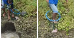 Penemuan jenazah bayi mengapung di Sungai Pasinan, RT 03/02 Kelurahan Polaman, Kecamatan Mijen, Kota Semarang. (Sumber : Instagram/kejadiansmg)