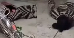 Momen ibu-ibu mendadak kesurupan saat ditagih hutang debt collector (Sumber : Twitter/@sosmedkeras)