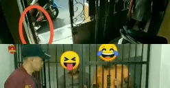 Dua Pelaku Pencurian Burung yang Terekam CCTV di Candisari Berhasil Dibekuk