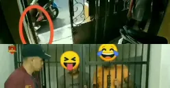 Dua Pelaku Pencurian Burung yang Terekam CCTV di Candisari Berhasil Dibekuk