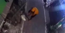 pemukulan Kucing di Gajahmungkur (Sumber : instagram @infokriminalsemarang)