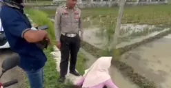 Polisi Sampai Melongo, Beredar Video Istri Tantrum di Tepi Sawah Gegara Suami Salah Beli Semir Rambut (Sumber : Twitter/@kegblgnunfaedah)