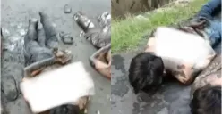 Aksi Kreak Pelajar di Jalan Supriadi Gang SMP 15 Berhasil Digagalkan Warga, Diduga Hendak Tawuran