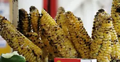 Rekomendasi Menu Serba Jagung untuk Perayaan Malam Tahun Baru, Nggak Harus Melulu Dibakar