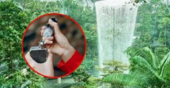 Singapura Razia Rokok Elektrik di Bandara Changi, Yang Bawa Bisa Kena Denda Puluhan Juta Rupiah! (Sumber : Freepik/prostooleh & instagram @changiairport.id)