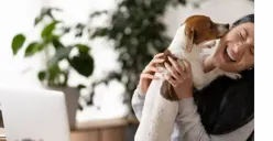 Rekomendasi Taman Pet Friendly di Jakarta, Simak Tips Berikut Ini Agar Anabul Aman dan Nyaman saat Bermain