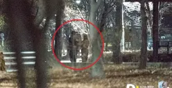 8 Couple Tahun Baru 1 Januari yang Di-Spill Dispatch, Mungkinkah Kejadian 2022 Terulang di 2024?