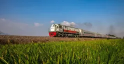 KAI Gerak Cepat Investigasi Kecelakaan Kereta Api Turangga