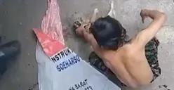 SADIS! Pria di Solo Terekam CCTV Siksa Banting Kucing Gara-gara Hendak Makan Lauknya Dicuri