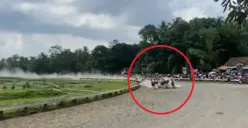 Insiden Kuda Patah Kaki saat Lomba Balap di Semarang: Kuda Berakhir Disuntik Mati