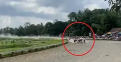 Insiden Kuda Patah Kaki saat Lomba Balap di Semarang: Kuda Berakhir Disuntik Mati