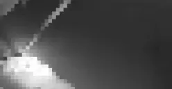 penemuan mayat pria di Tambakrejo (Sumber: instagram @infokejadiansemarang.new  | Foto: Infosemarang.com )