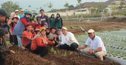 Wali Kota Semarang Hevearita Gunaryanti Rahayu menanam komoditas bawang merah unggulan jenis Lokananta. (Sumber:  | Foto: Dok Humas Pemkot Semarang.)