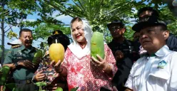  Kelompok Tani Muda Semarang Bikin Sistem Pertanian Terpadu, Pupuk Seluruhnya Organik