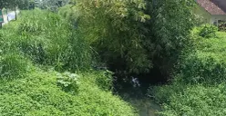 Sungai Plumbon, Kecamatan Tugu, Kota Semarang. (Sumber:  | Foto: Sakti)