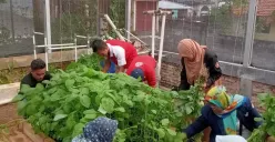 Pemkot Semarang Maksimalkan Lahan Tidur untuk Urban Farming