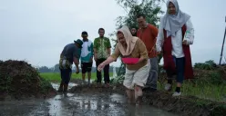  Tanam Padi di Lahan Rob, Pemkot Semarang dan BRIN Implementasikan Hasil Riset Bidang Pertanian