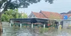 Banjir Demak Mulai Surut, Setengah Pengungsi Kembali Rumah