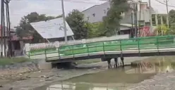 Sungai sepanjang Jalan Pantura Demak terlihat dangkal dan penuh enceng gondok. (Sumber: @infokejadiandemak - InfoSemarang.com)