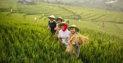 Update Data Penerima Pupuk Bersubsidi Tiap Empat Bulan, Ini Jadwalnya