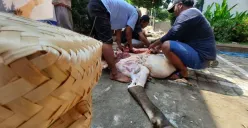 Penggunaan besek untuk pembagian daging kurban di Semarang. (Sumber: | Foto: sakti)